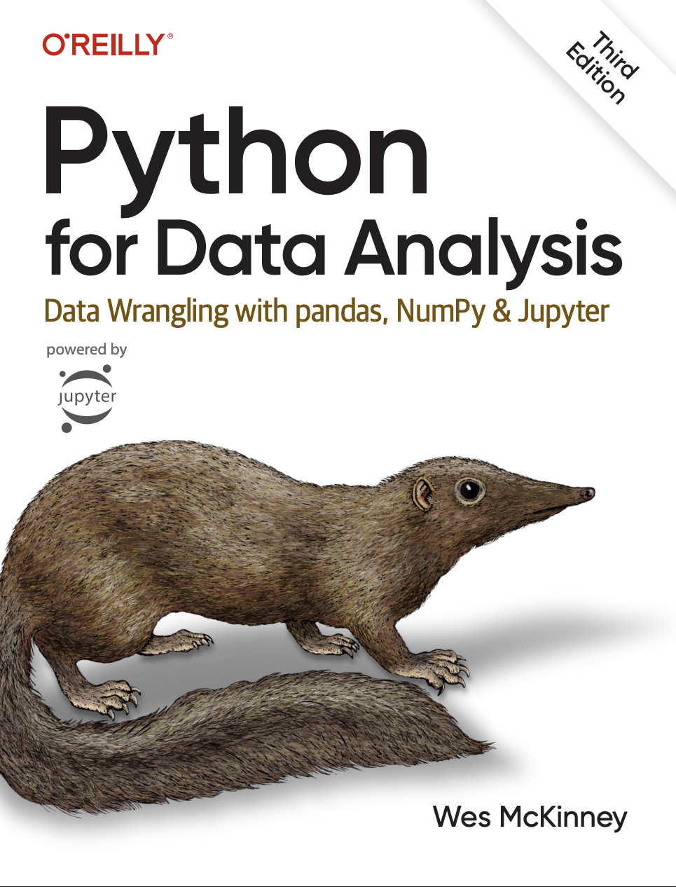 Python for Data Analysis (Wes McKinney)