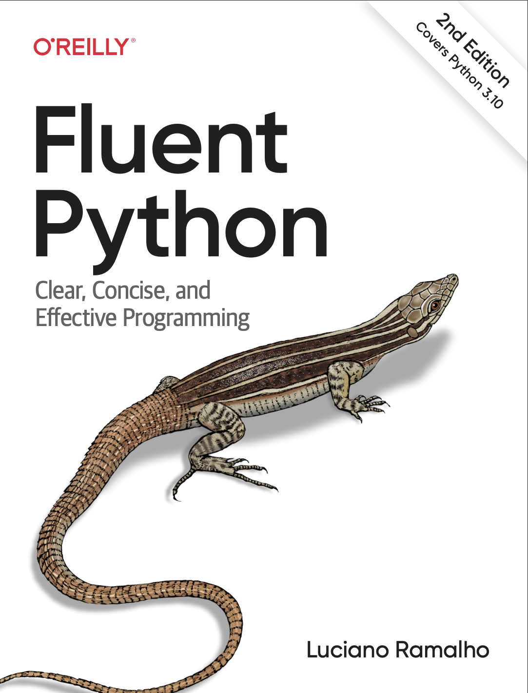 Fluent Python (Lucianno Ramalho)
